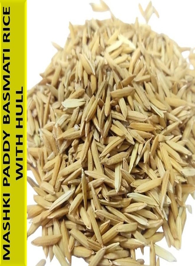 MASHKI Raw Basmati Rice Paddy: Nutrient-Rich All Life Stages Bird Food with Nellu Large Size Vadlu Seeds - Ideal for Love Birds, Cockatiels, Java Sparrows, Sun Conure (500 Grams) - Image 2